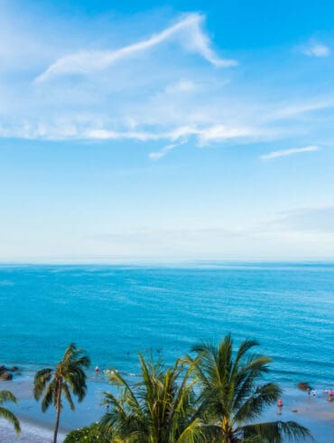 Scenic view of a turquoise blue ocean with a palm tree in the foreground, people enjoying the sandy beach below, and soft white clouds in the sky.