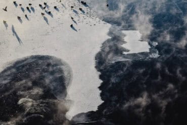 Green Chai Cinnamon Bun Smoothie zeen lyfe 15