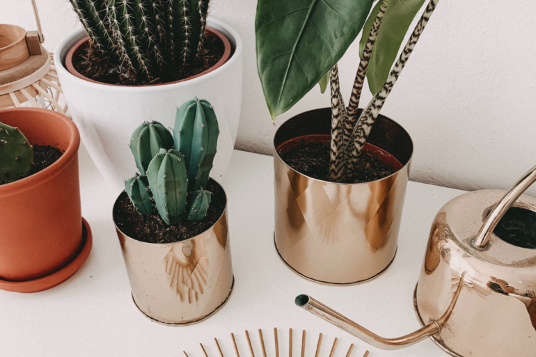 Gratitude Practice: How To Have a Healthier Happier Life MutedBlue2CBrownandNeutralSelfAffirmationsInstagramPostTemplate28129