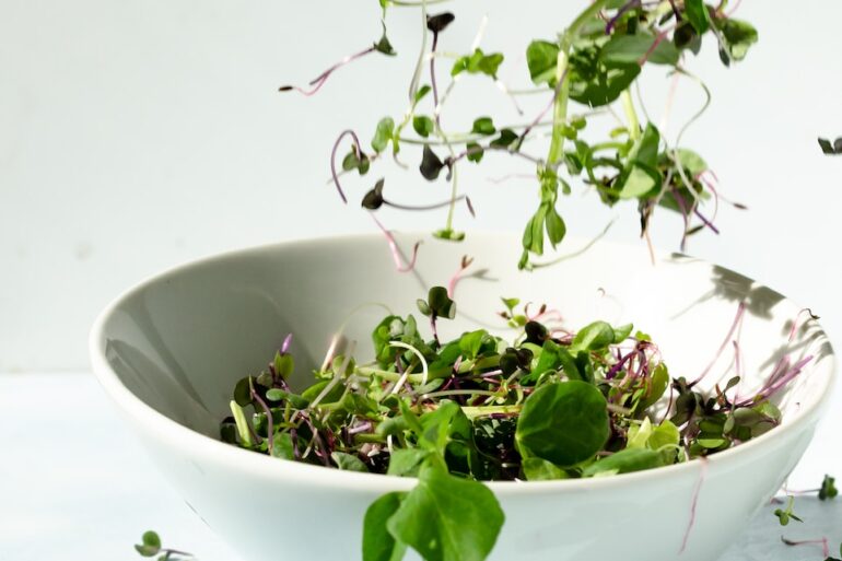 green plant on white ceramic bowl