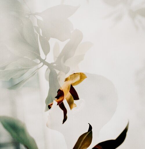 Embracing Wellness as a Journey of Self-Discovery: Nourishing Body and Soul self discovery