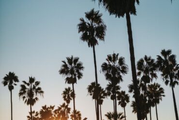 Los Angeles Travel Guide - Insiders Tips for Exploring LA 6 InsidersGuidetoLA 17