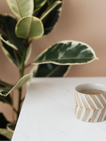 Masala Chai (Plant-Based) masalachairecipe