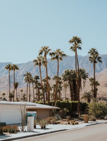 structure beside palm trees