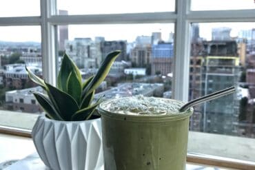 Dark Chocolate Avocado Adaptogen Mylkshake 1 DarkChocolateAvocadoMylkshakeformat2500w