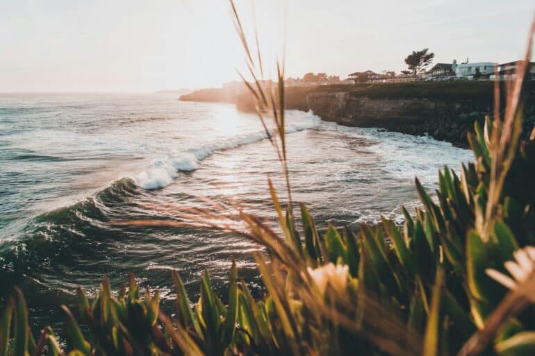 Santa Cruz in Winter: A Cozy Coastal Retreat santa cruz california sea